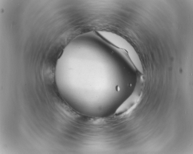 X0000088620186200706151901