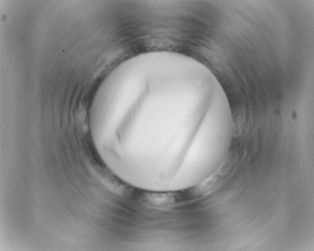 X0000088620187200706151901