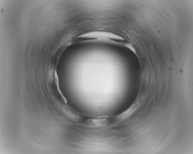 X0000088620188200706151901