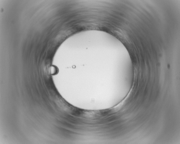 X0000088620190200706151901