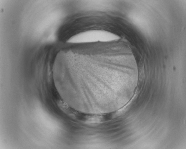 X0000088620191200706151901