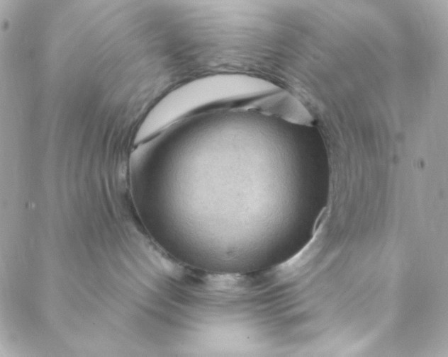 X0000088620192200706151901