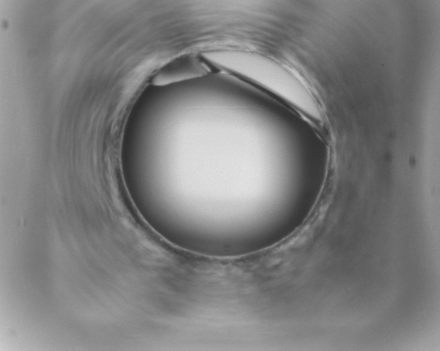 X0000088620193200706151901