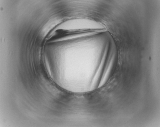 X0000088620194200706151901