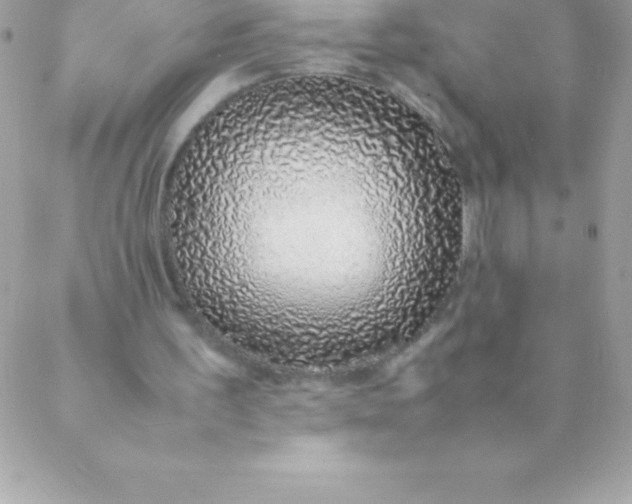 X0000088620195200706151901