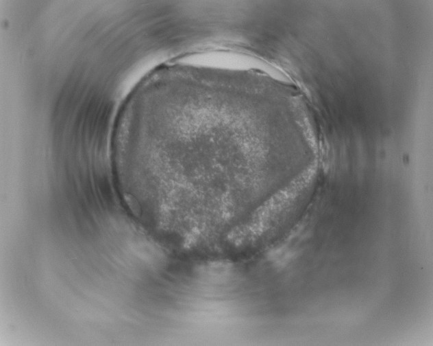 X0000088620196200706151900