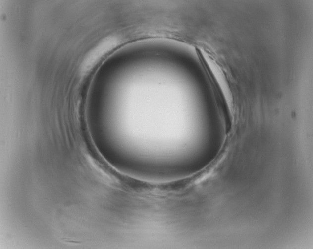 X0000088620197200706151900