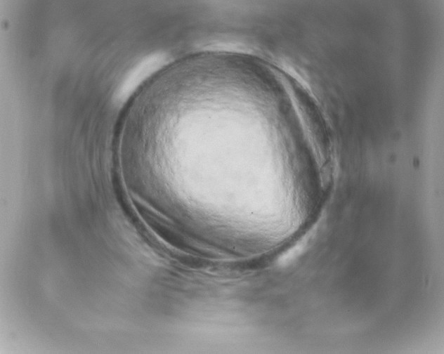 X0000088620199200706151900