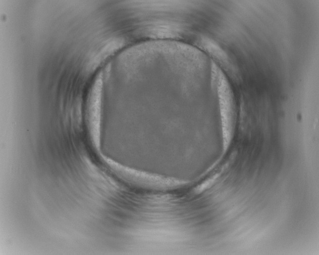 X0000088620202200706151900