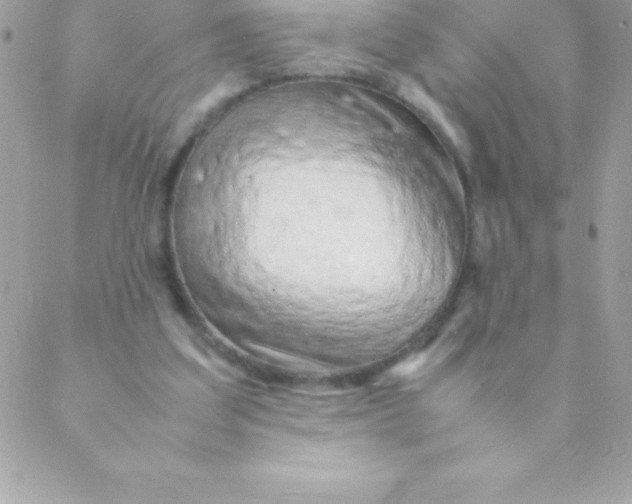 X0000088620203200706151900