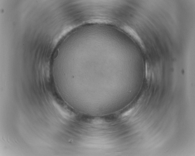 X0000088620204200706151900