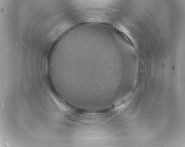 X0000088620205200706151900