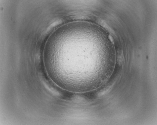 X0000088620207200706151900