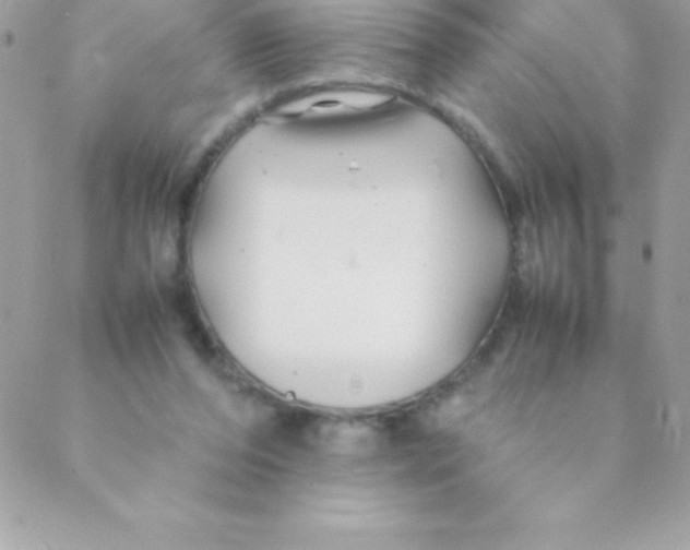 X0000088620208200706151900