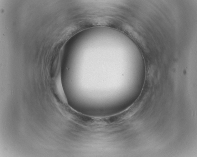 X0000088620209200706151900