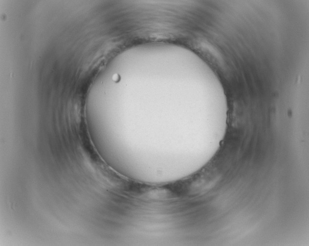 X0000088620210200706151900