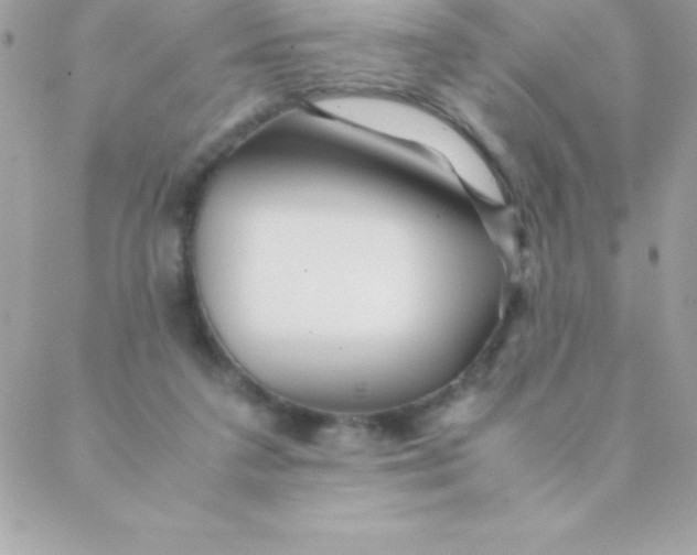 X0000088620211200706151900