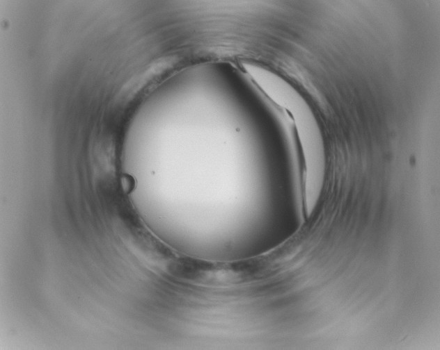 X0000088620212200706151900