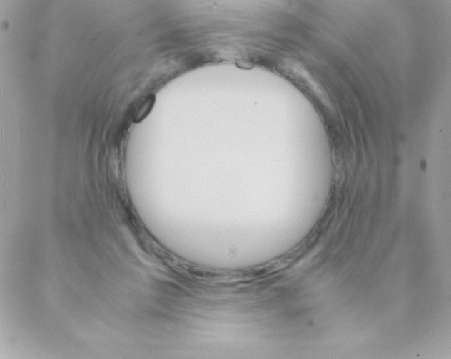 X0000088620213200706151900