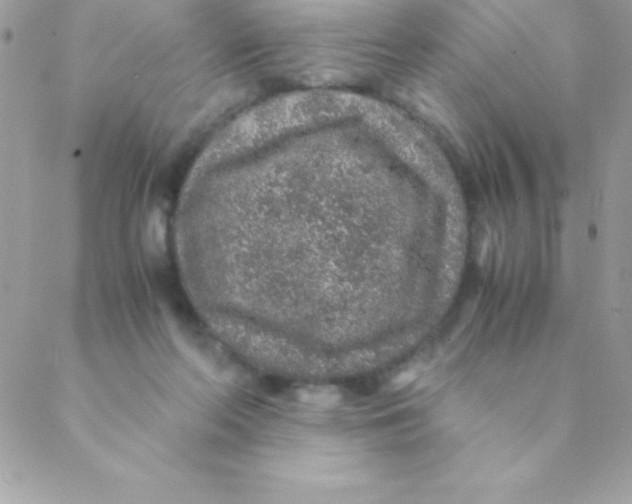 X0000088620214200706151900