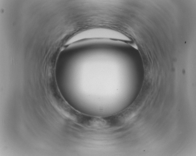 X0000088620215200706151900