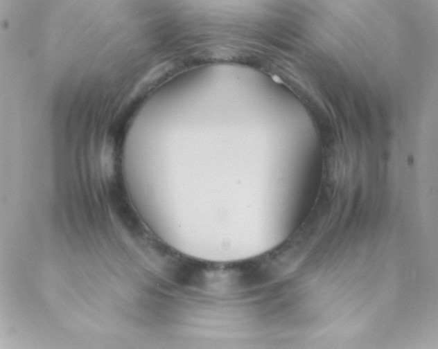 X0000088620216200706151900