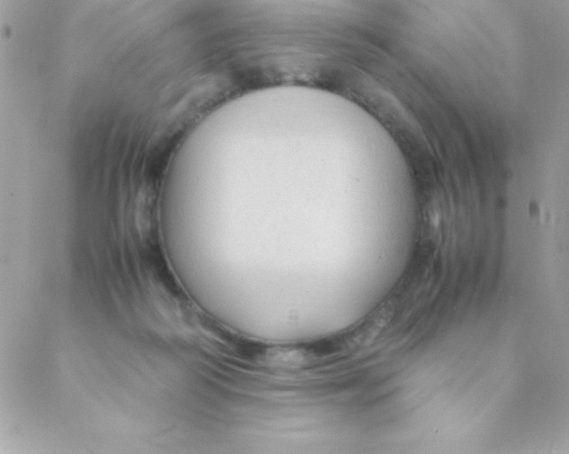 X0000088620218200706151900