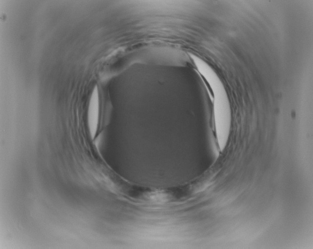 X0000088620219200706151900