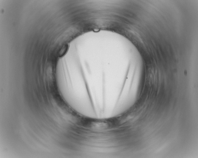 X0000088620220200706151900