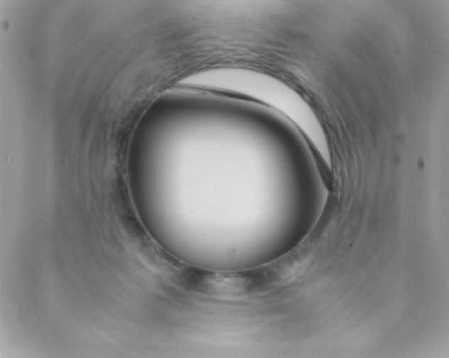 X0000088620221200706151900