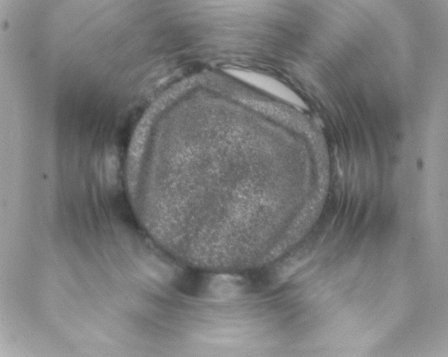 X0000088620222200706151900