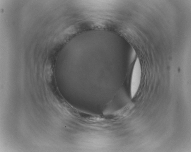 X0000088620223200706151900