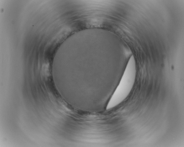 X0000088620224200706151900