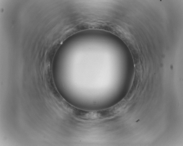 X0000088620225200706151900