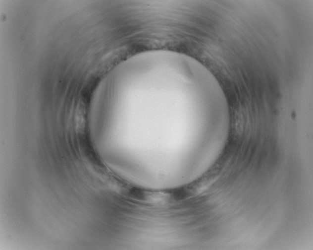 X0000088620226200706151900