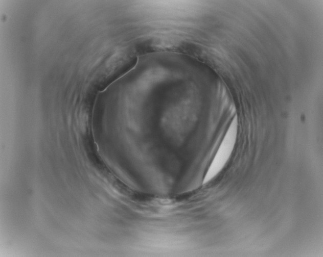 X0000088620227200706151900