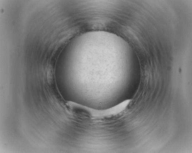 X0000088620228200706151900