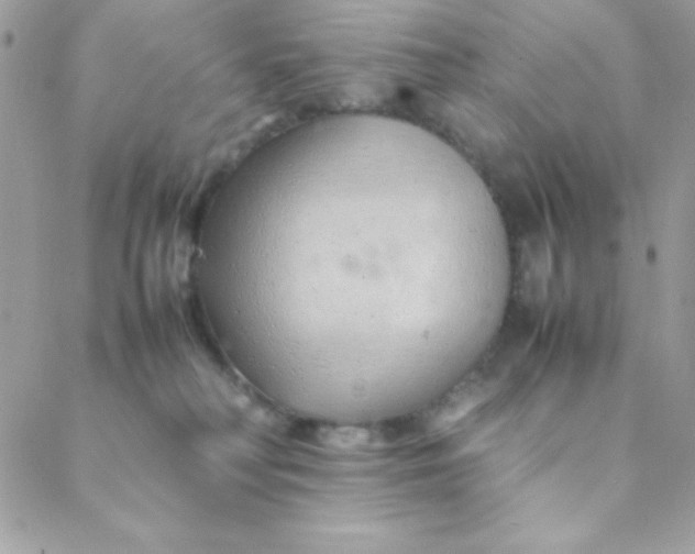 X0000088620230200706151900