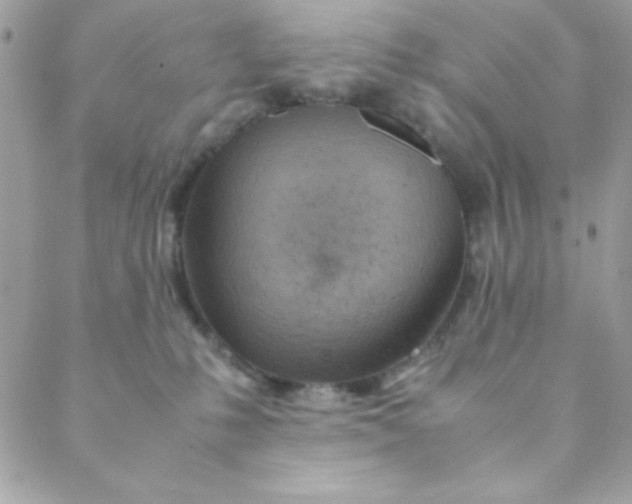 X0000088620231200706151900