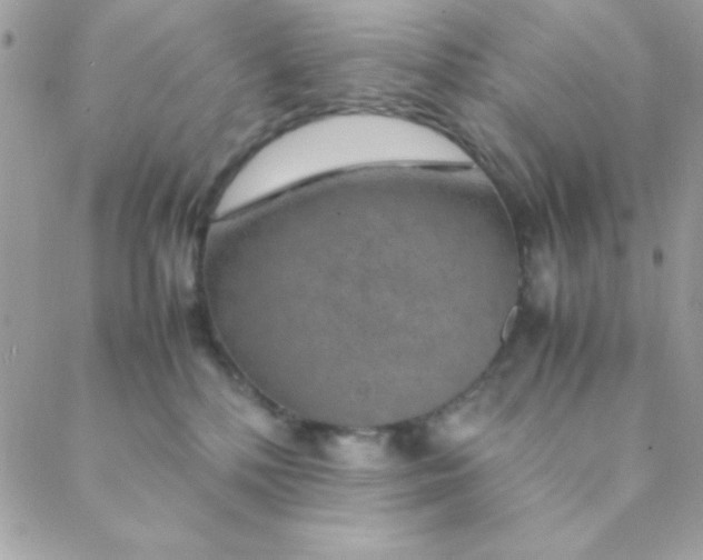 X0000088620232200706151900