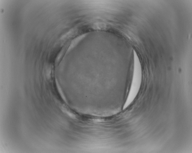 X0000088620233200706151900