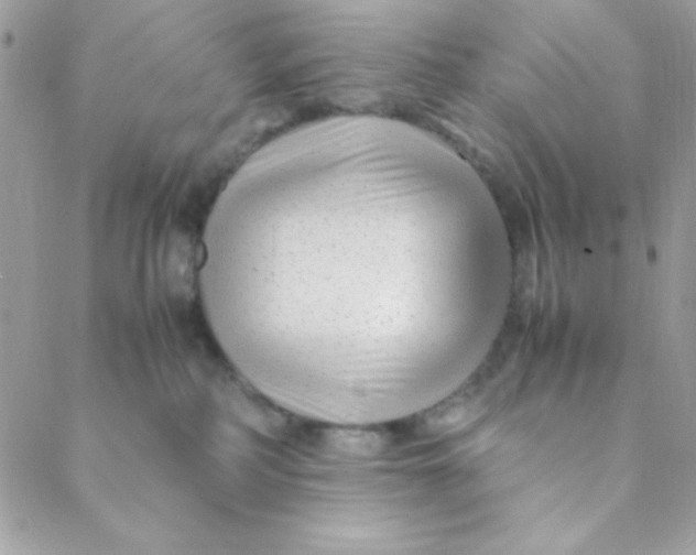 X0000088620234200706151900