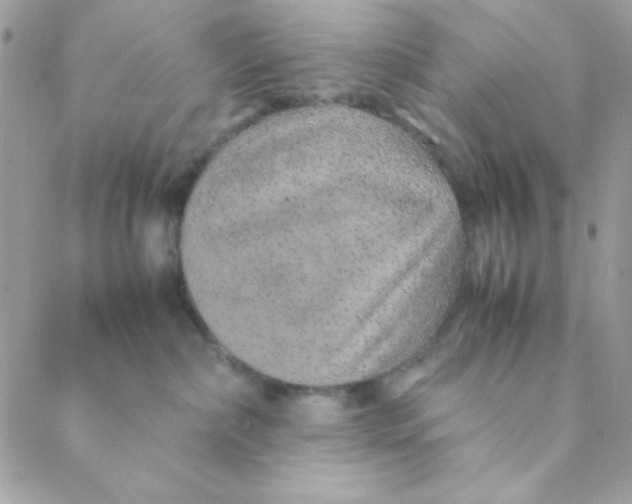 X0000088620236200706151900