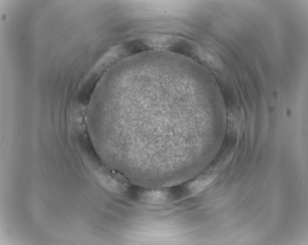 X0000088620237200706151900