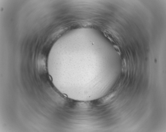 X0000088620238200706151900