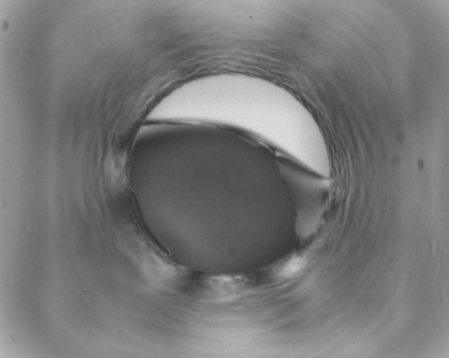 X0000088620239200706151900