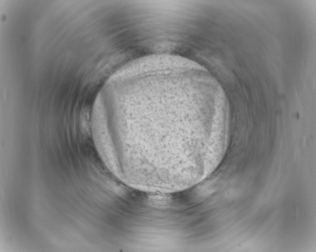 X0000088620240200706151900