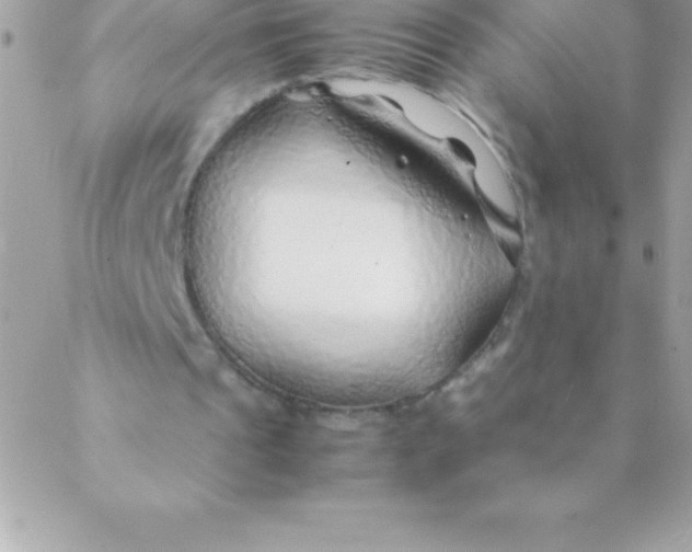 X0000088620241200706151859