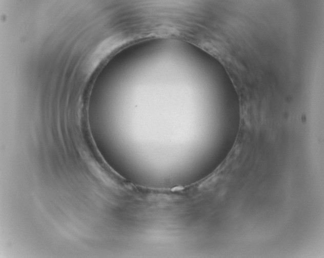 X0000088620242200706151859