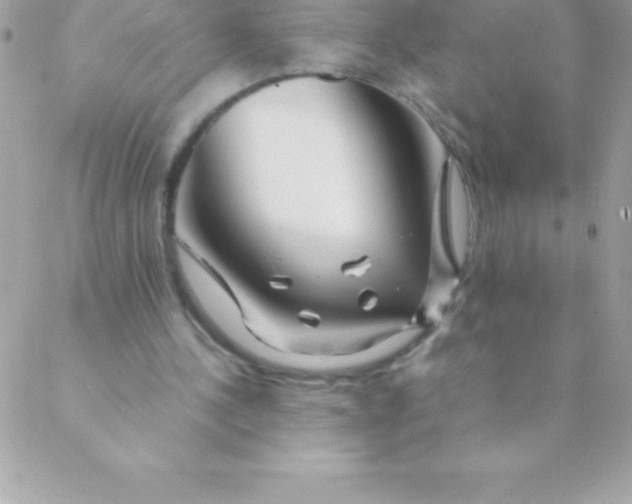 X0000088620244200706151859